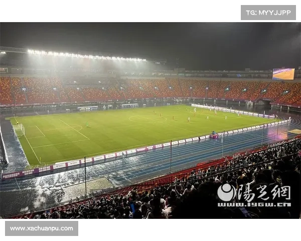 锡兰红茶魅力尽显 球场广告牌设计助力品牌形象升级